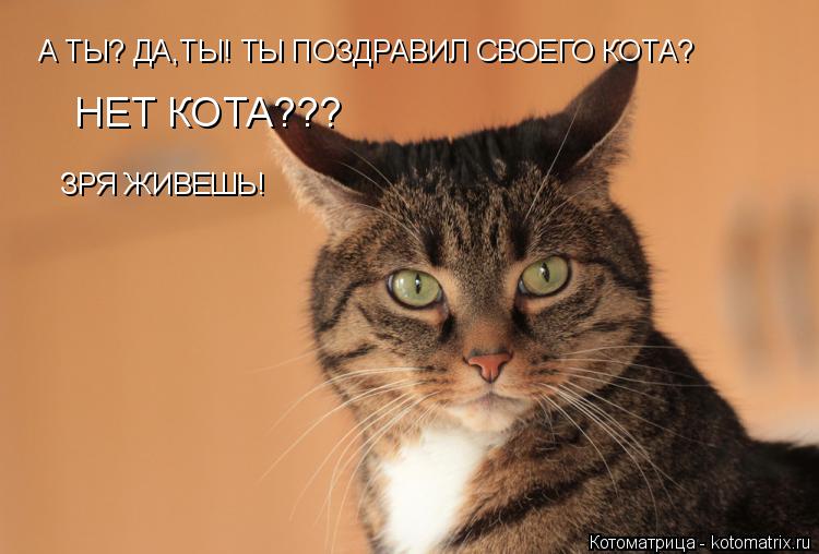 А ТЫ? ДА,ТЫ! ТЫ ПОЗДРАВИЛ СВОЕГО КОТА? НЕТ КОТА??? ЗРЯ ЖИВЕШЬ!... Котоматрица: А ТЫ? ДА,ТЫ! ТЫ ПОЗДРАВИЛ СВОЕГО КОТА? НЕТ КОТА??? ЗРЯ ЖИВЕШЬ!