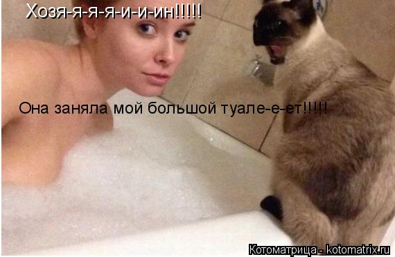 Хозя-я-я-я-и-и-ин Хозя-я-я-я-и-и-ин!!!!! Она заняла мой большой туале-е-ет!!!!!... Котоматрица: Хозя-я-я-я-и-и-ин Хозя-я-я-я-и-и-ин!!!!! Она заняла мой большой туале-е-ет!!!!!