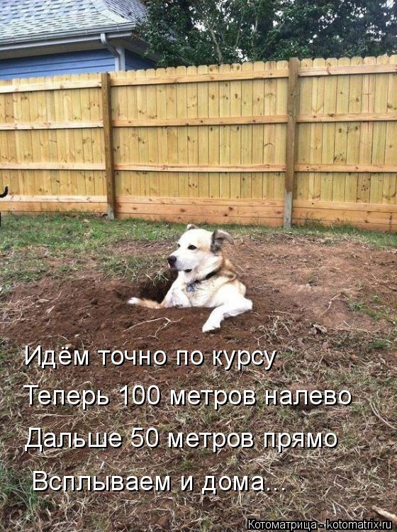 Идём точно по курсу Теперь 100 метров налево Дальше 50 метров прямо Всплываем и дома...... Котоматрица: Идём точно по курсу Теперь 100 метров налево Дальше 50 метров прямо Всплываем и дома...