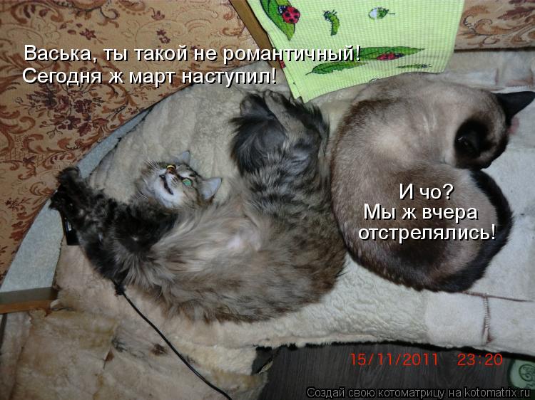Васька, ты такой не романтичный! Сегодня ж март наступил! И чо? Мы ж вчера отстрелялись!... Котоматрица: Васька, ты такой не романтичный! Сегодня ж март наступил! И чо? Мы ж вчера отстрелялись!