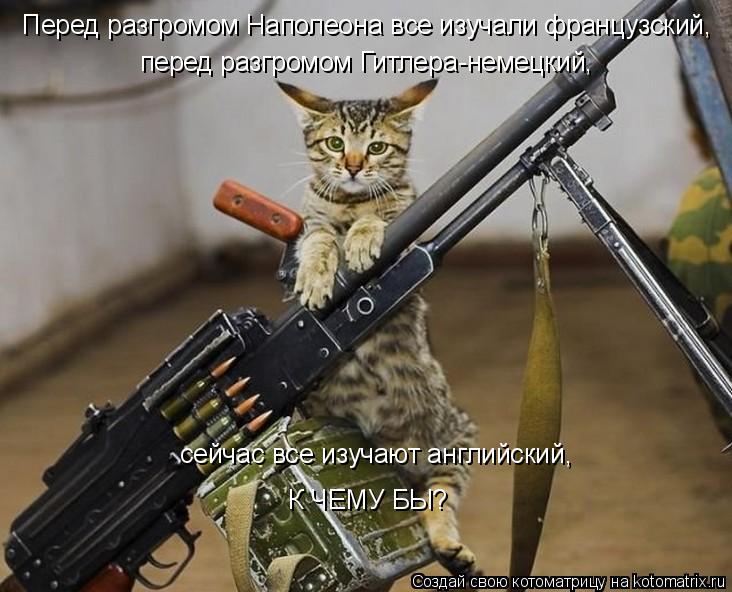 Перед разгромом Наполеона все изучали французский, перед разгромом Гитлера-немецкий, сейчас все изуча... Котоматрица: Перед разгромом Наполеона все изучали французский, перед разгромом Гитлера-немецкий, сейчас все изучают английский, К ЧЕМУ БЫ?
