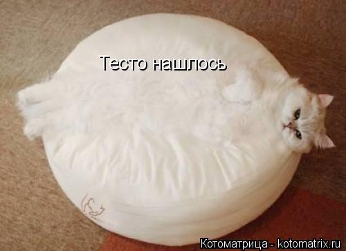 Тесто нашлось... Котоматрица: Тесто нашлось
