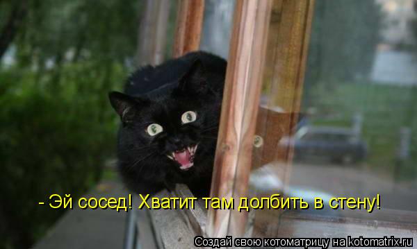 Котоматрица: - Эй сосед! Хватит там долбить в стену!