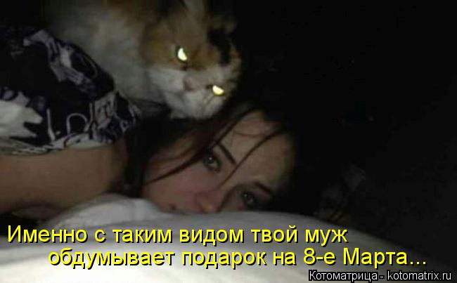 Именно с таким видом твой муж обдумывает подарок на 8-е Марта...... Котоматрица: Именно с таким видом твой муж обдумывает подарок на 8-е Марта...