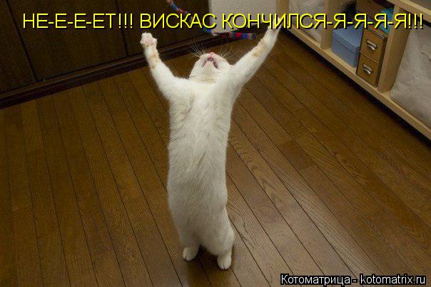 Котоматрица: НЕ-Е-Е-ЕТ!!! ВИСКАС КОНЧИЛСЯ-Я-Я-Я-Я!!!