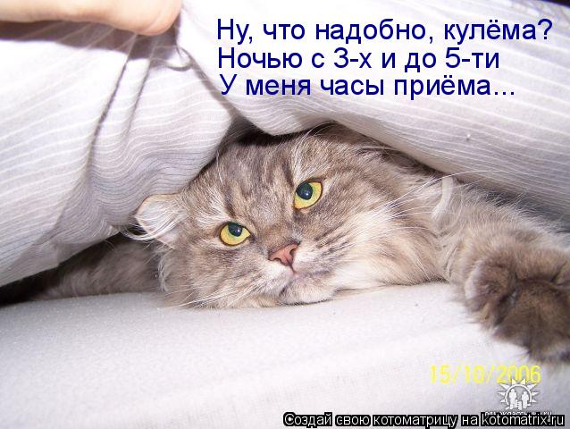Ну, что надобно, кулёма? Ночью с 3-х и до 5-ти У меня часы приёма...... Котоматрица: Ну, что надобно, кулёма? Ночью с 3-х и до 5-ти У меня часы приёма...