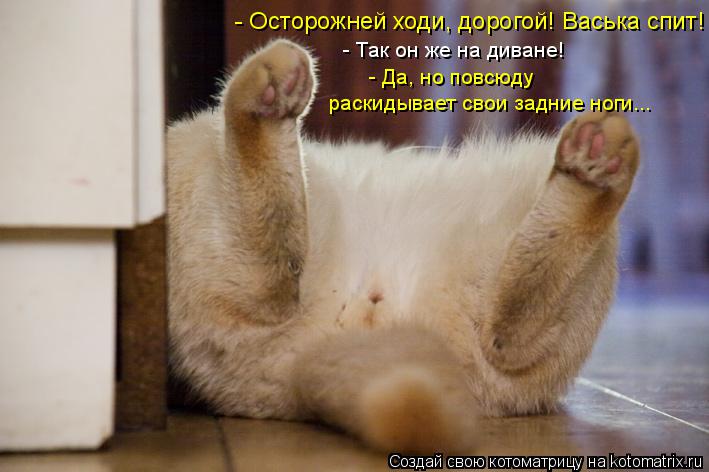 - Да, но повсюду - Так он же на диване! - Осторожней ходи, дорогой! Васька спит! раскидывает свои за... Котоматрица: - Да, но повсюду - Так он же на диване! - Осторожней ходи, дорогой! Васька спит! раскидывает свои задние ноги...