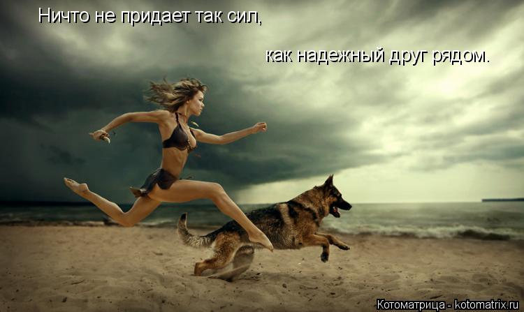 Ничто не придает так сил, как надежный друг рядом.... Котоматрица: Ничто не придает так сил, как надежный друг рядом.