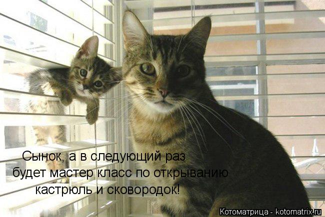 Сынок, а в следующий раз будет мастер класс по открыванию кастрюль и сковородок!... Котоматрица: Сынок, а в следующий раз будет мастер класс по открыванию кастрюль и сковородок!
