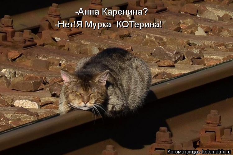-Анна Каренина? -Нет!Я Мурка КОТерина!... Котоматрица: -Анна Каренина? -Нет!Я Мурка КОТерина!