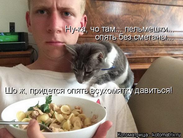 Шо ж, придется опять всухомятку давиться! Ну-ка, чо там... пельмешки... опять без сметаны...... Котоматрица: Шо ж, придется опять всухомятку давиться! Ну-ка, чо там... пельмешки... опять без сметаны...