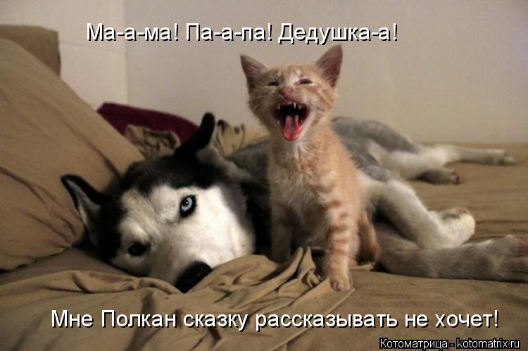 Ма-а-ма! Па-а-па! Дедушка-а! Мне Полкан сказку рассказывать не хочет!... Котоматрица: Ма-а-ма! Па-а-па! Дедушка-а! Мне Полкан сказку рассказывать не хочет!