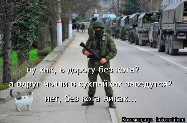 ну как, в дорогу без кота? а вдруг мыши в сухпайках заведутся? нет, без кота никак...... Котоматрица: ну как, в дорогу без кота? а вдруг мыши в сухпайках заведутся? нет, без кота никак...