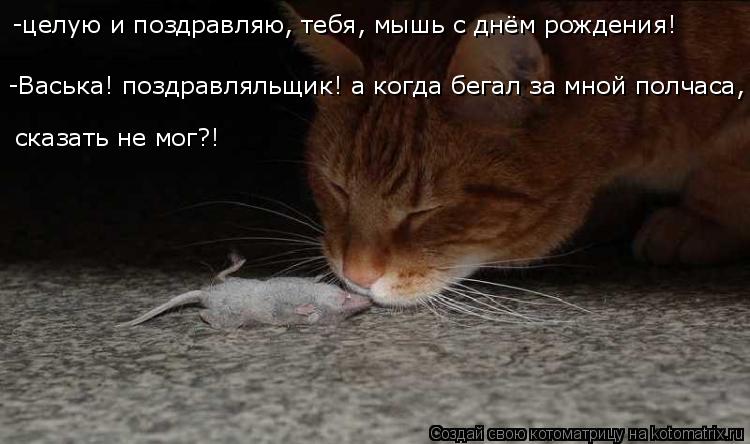 -целую и поздравляю, тебя, мышь с днём рождения! -Васька! поздравляльщик! а когда бегал за мной полча... Котоматрица: -целую и поздравляю, тебя, мышь с днём рождения! -Васька! поздравляльщик! а когда бегал за мной полчаса, сказать не мог?!