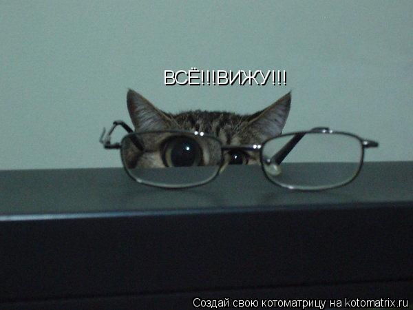 ВСЁ!!!ВИЖУ!!!... Котоматрица: ВСЁ!!!ВИЖУ!!!