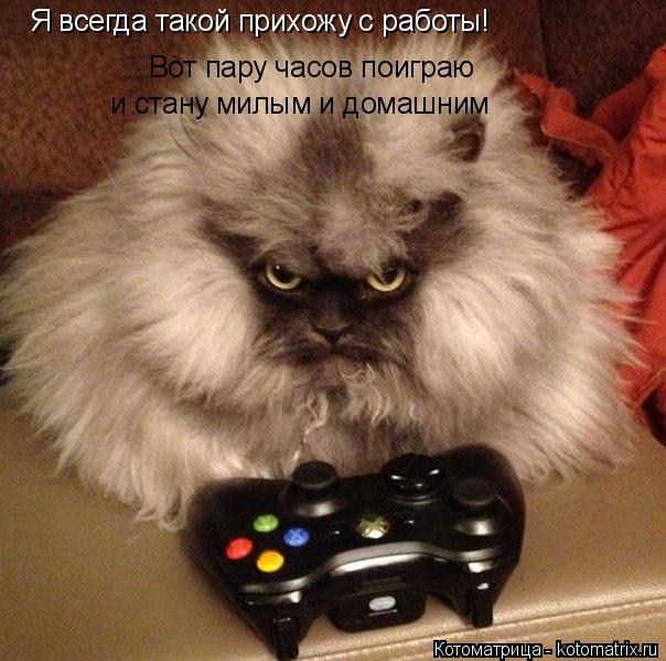 Котоматрица: Я всегда такой прихожу с работы! Вот пару часов поиграю и стану милым и домашним