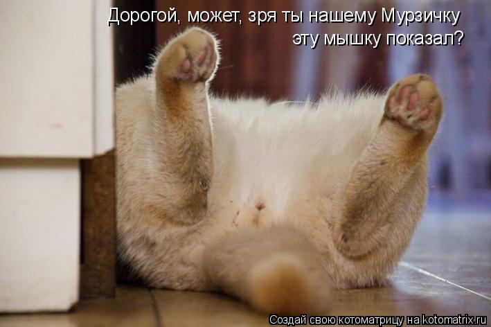 Дорогой, может, зря ты нашему Мурзичку эту мышку показал?... Котоматрица: Дорогой, может, зря ты нашему Мурзичку эту мышку показал?