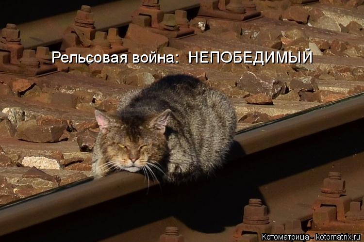 Рельсовая война: НЕПОБЕДИМЫЙ... Котоматрица: Рельсовая война: НЕПОБЕДИМЫЙ