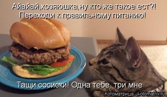 Айайай,хозяюшка,ну кто же такое ест?! Переходи к правильному питанию! Тащи сосиски! Одна тебе, три мн... Котоматрица: Айайай,хозяюшка,ну кто же такое ест?! Переходи к правильному питанию! Тащи сосиски! Одна тебе, три мне
