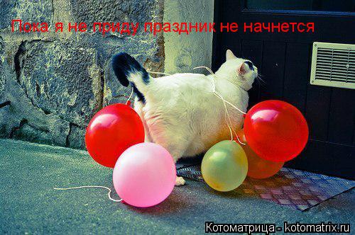 Пока я не приду праздник не начнется... Котоматрица: Пока я не приду праздник не начнется