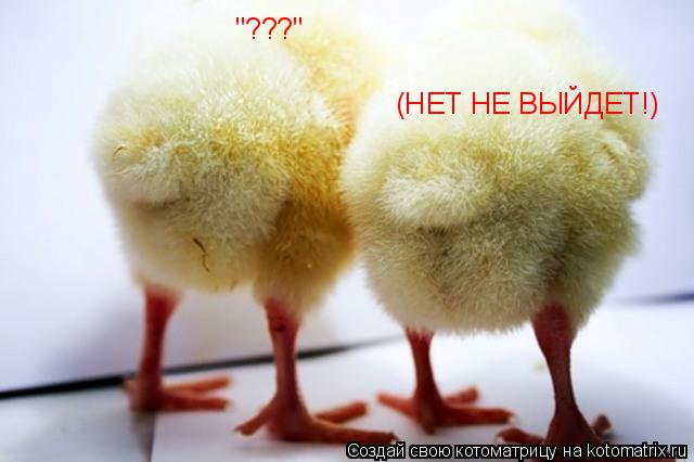 "???" (НЕТ НЕ ВЫЙДЕТ!)... Котоматрица: "???" (НЕТ НЕ ВЫЙДЕТ!)