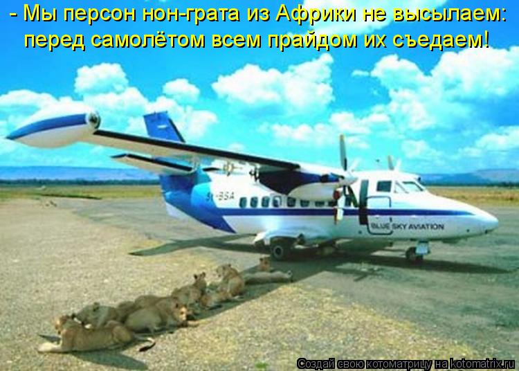 - Мы персон нон-грата из Африки не высылаем: перед самолётом всем прайдом их съедаем!... Котоматрица: - Мы персон нон-грата из Африки не высылаем: перед самолётом всем прайдом их съедаем!