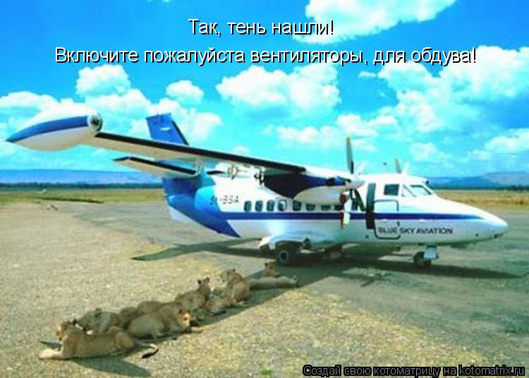Включите пожалуйста вентиляторы, для обдува! Так, тень нашли!... Котоматрица: Включите пожалуйста вентиляторы, для обдува! Так, тень нашли!