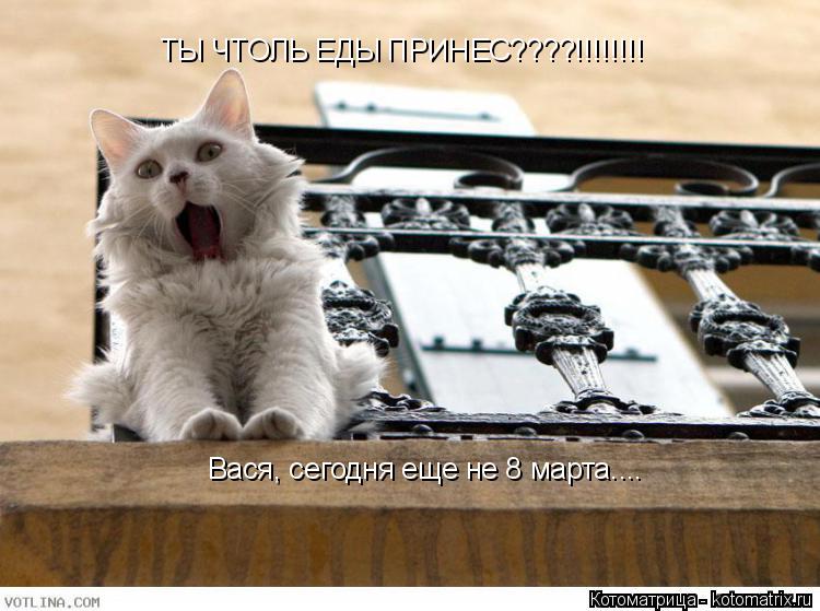 ТЫ ЧТОЛЬ ЕДЫ ПРИНЕС????!!!!!!!! Вася, сегодня еще не 8 марта....... Котоматрица: ТЫ ЧТОЛЬ ЕДЫ ПРИНЕС????!!!!!!!! Вася, сегодня еще не 8 марта....