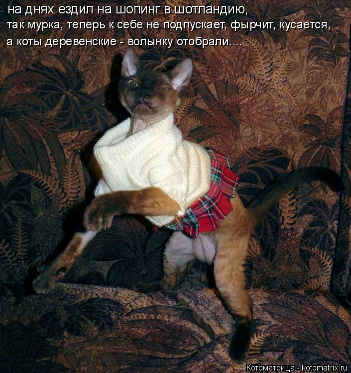 на днях ездил на шопинг в шотландию, так мурка, теперь к себе не подпускает, фырчит, кусается, а коты... Котоматрица: на днях ездил на шопинг в шотландию, так мурка, теперь к себе не подпускает, фырчит, кусается, а коты деревенские - волынку отобрали....