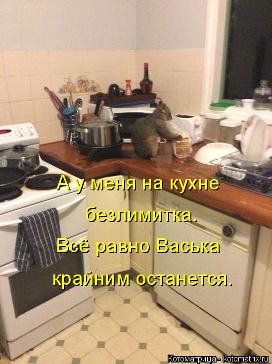 А у меня на кухне безлимитка. Всё равно Васька крайним останется.... Котоматрица: А у меня на кухне безлимитка. Всё равно Васька крайним останется.