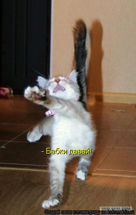 Котоматрица: - Бабки давай!