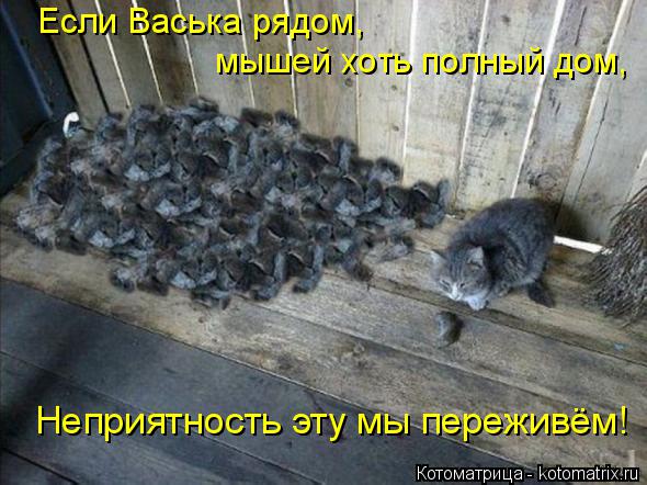 Котоматрица: Если Васька рядом,  мышей хоть полный дом, Неприятность эту мы переживём!