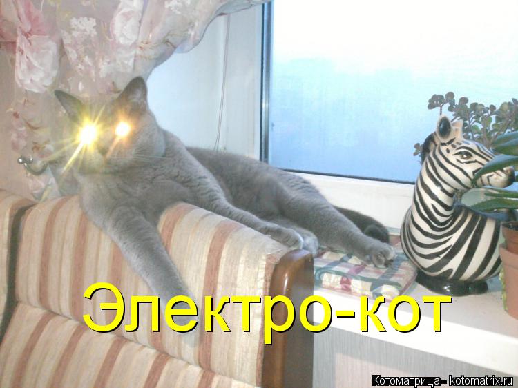 Котоматрица: Электро-кот