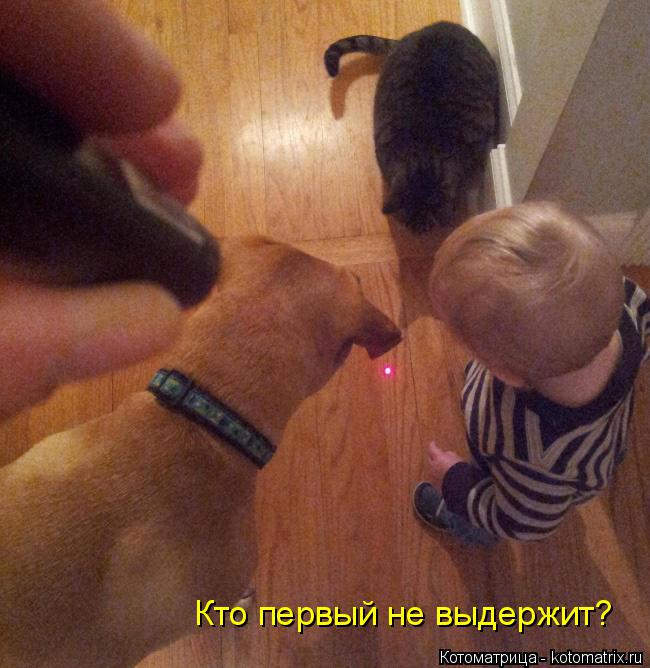 Кто первый не выдержит?... Котоматрица: Кто первый не выдержит?