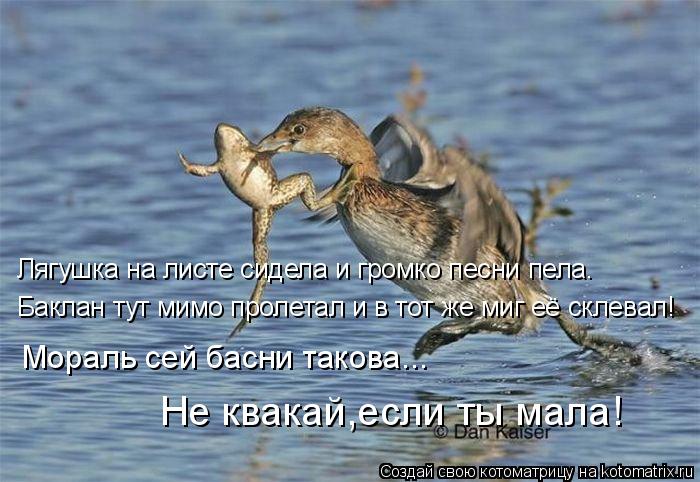 Котоматрица: Лягушка на листе сидела и громко песни пела. Баклан тут мимо пролетал и в тот же миг её склевал! Мораль сей басни такова... Не квакай,если ты м