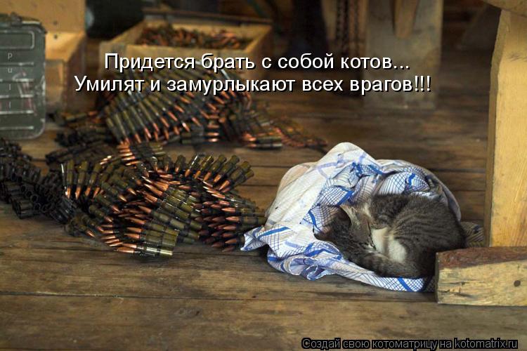 Придется брать с собой котов... Умилят и замурлыкают всех врагов!!!... Котоматрица: Придется брать с собой котов... Умилят и замурлыкают всех врагов!!!