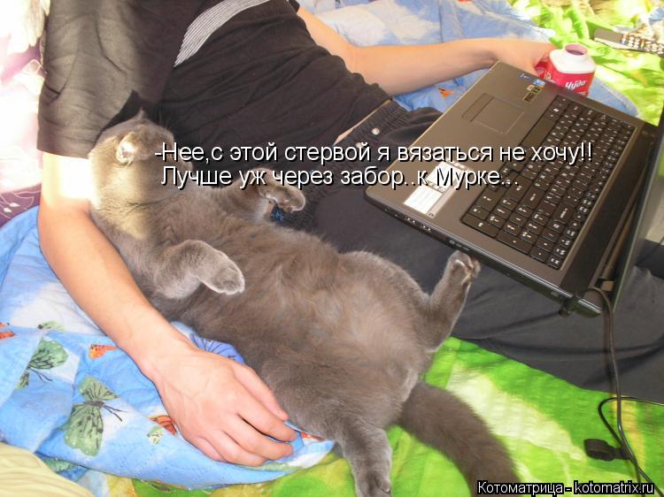 Котоматрица: -Нее,с этой стервой я вязаться не хочу!! Лучше уж через забор..к Мурке...