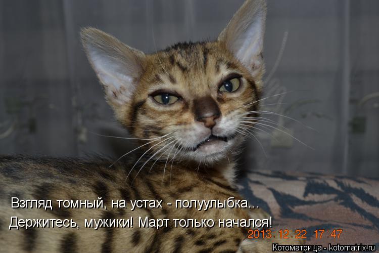 Котоматрица: Взгляд томный, на устах - полуулыбка... Держитесь, мужики! Март только начался!