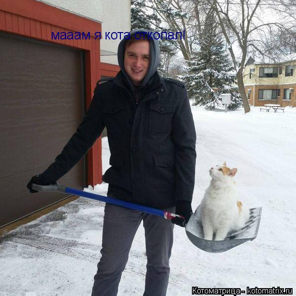 мааам я кота откопал!... Котоматрица: мааам я кота откопал!