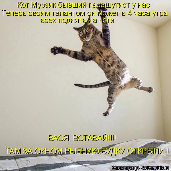 Кот Мурзик бывший парашутист у нас Теперь своим талантом он может в 4 часа утра всех поднять на ноги ... Котоматрица: Кот Мурзик бывший парашутист у нас Теперь своим талантом он может в 4 часа утра всех поднять на ноги ВАСЯ, ВСТАВАЙ!!!! ТАМ ЗА ОКНОМ РЫБНУЮ БУДК