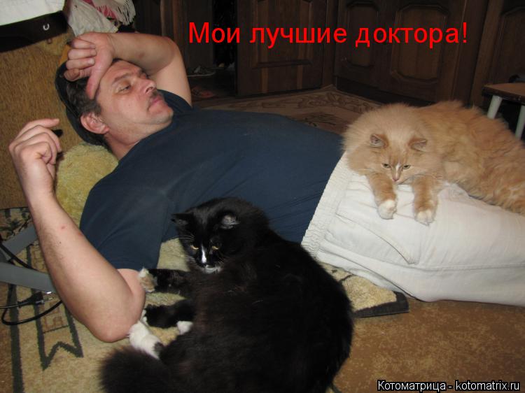 Котоматрица: Мои лучшие доктора!