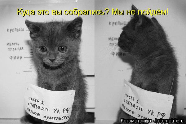 Котоматрица: Куда это вы собрались? Мы не пойдём!
