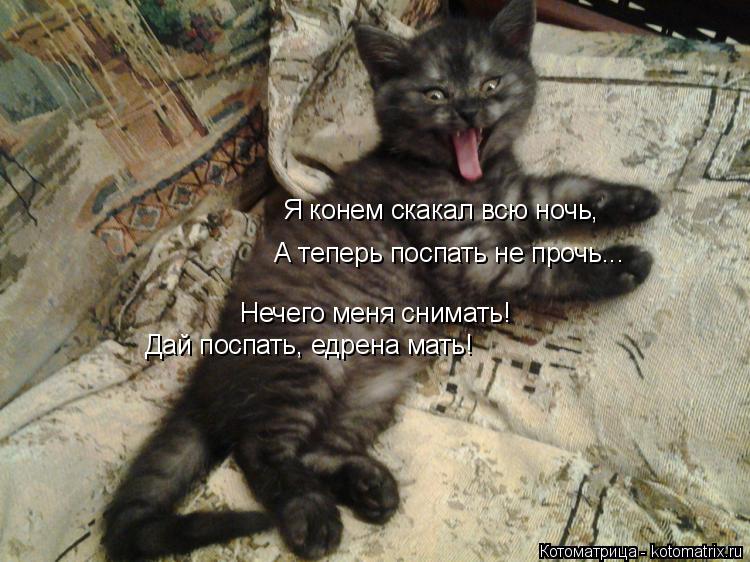 Нечего меня снимать! Дай поспать, едрена мать! Я конем скакал всю ночь, А теперь поспать не прочь...... Котоматрица: Нечего меня снимать! Дай поспать, едрена мать! Я конем скакал всю ночь, А теперь поспать не прочь...