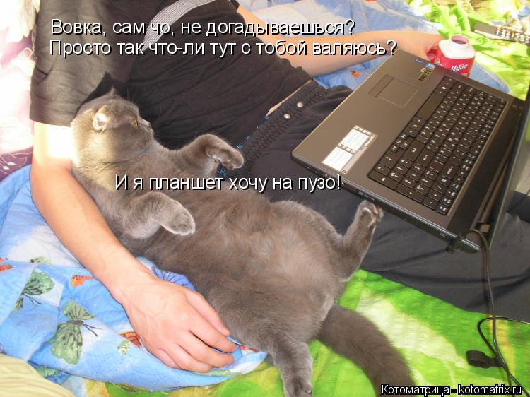 Котоматрица: Вовка, сам чо, не догадываешься? Просто так что-ли тут с тобой валяюсь? И я планшет хочу на пузо!
