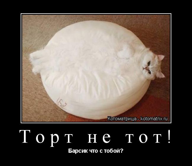Котоматрица: Торт не тот! Барсик что с тобой?