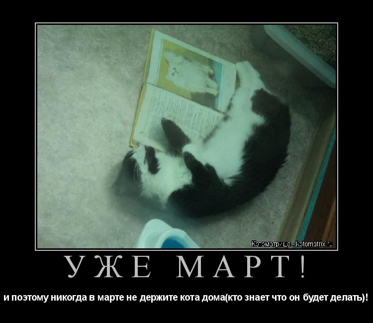 Котоматрица: УЖЕ МАРТ! и поэтому никогда в марте не держите кота дома(кто знает что он будет делать)!