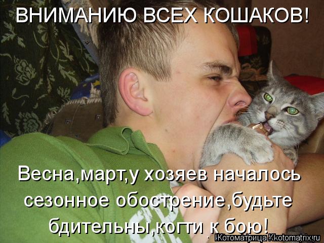 Котоматрица: ВНИМАНИЮ ВСЕХ КОШАКОВ! Весна,март,у хозяев началось сезонное обострение,будьте  бдительны,когти к бою!