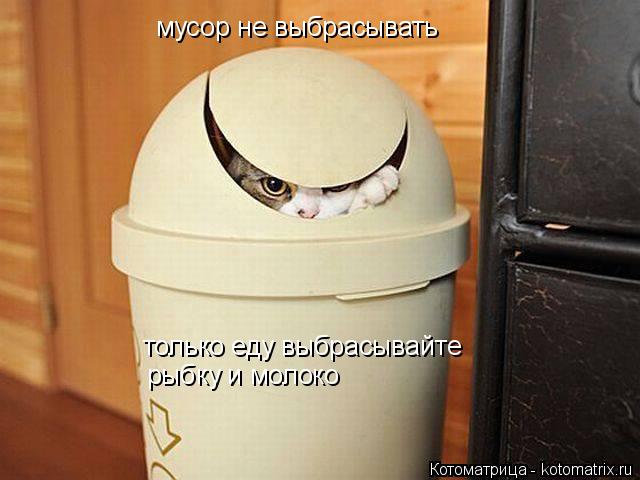 Котоматрица: мусор не выбрасывать только еду выбрасывайте рыбку и молоко