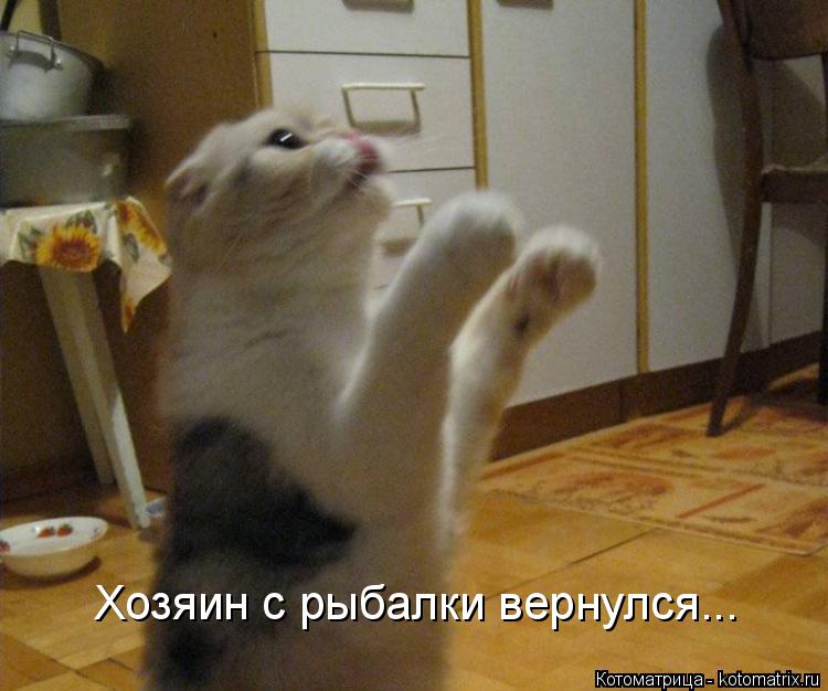 Котоматрица: Хозяин с рыбалки вернулся...