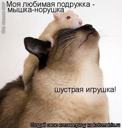 Котоматрица: мышка-норушка Моя любимая подружка -  шустрая игрушка!